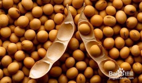 朋友，你会经常头痛吗？