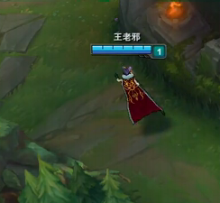 LOL职业赛中最常用的英雄有哪些