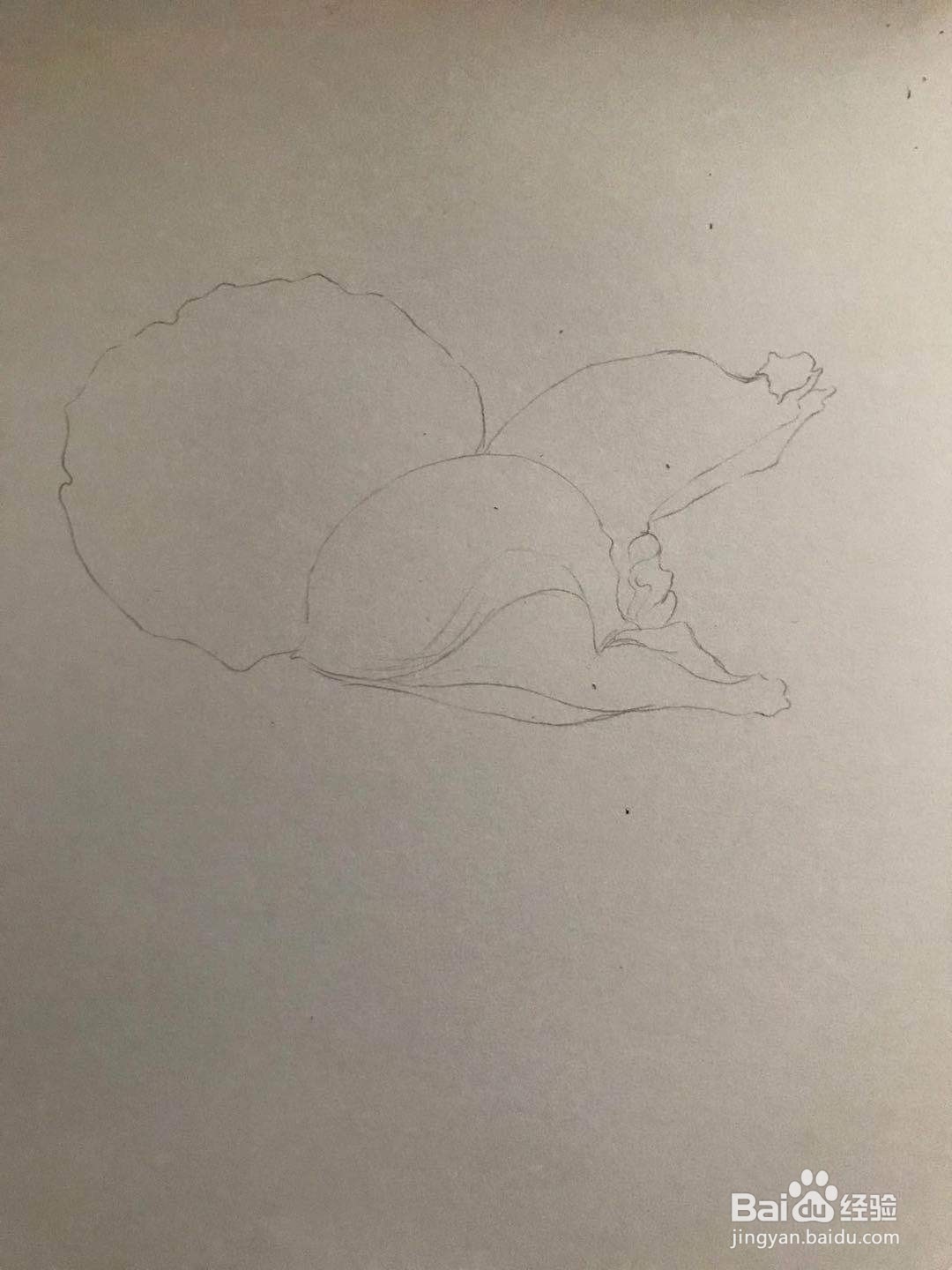 两朵玫瑰花绘画教程