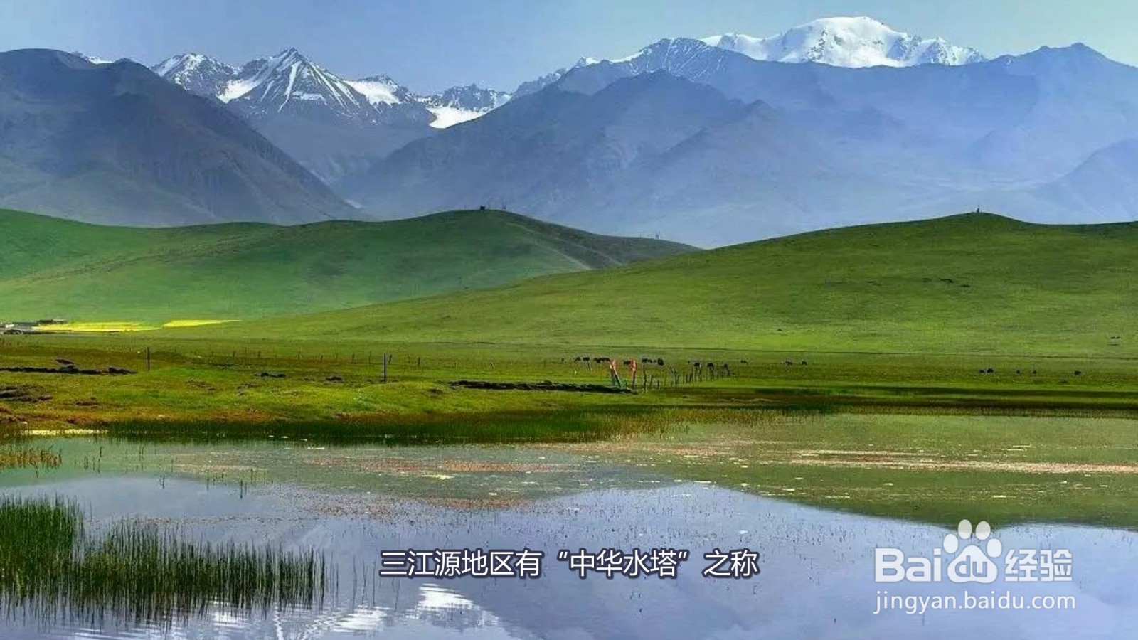 三江源指的是哪三江