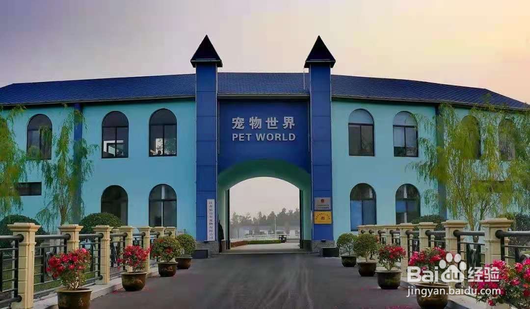 海安乐百年小镇有什么好玩的