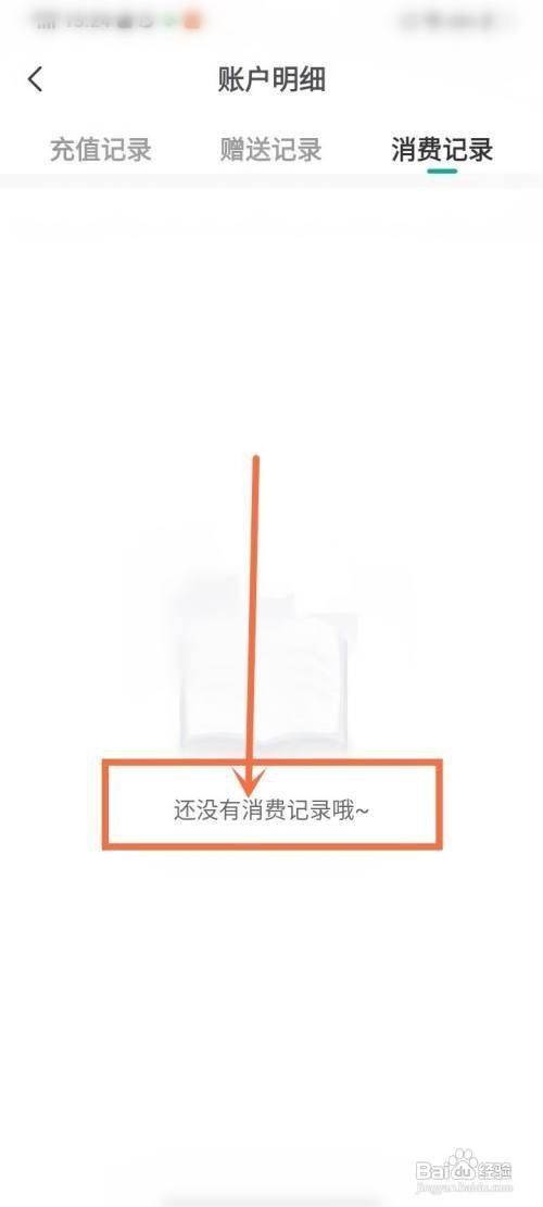 满阅免费小说怎么看消费记录