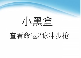 小黑盒查看命运2脉冲步枪