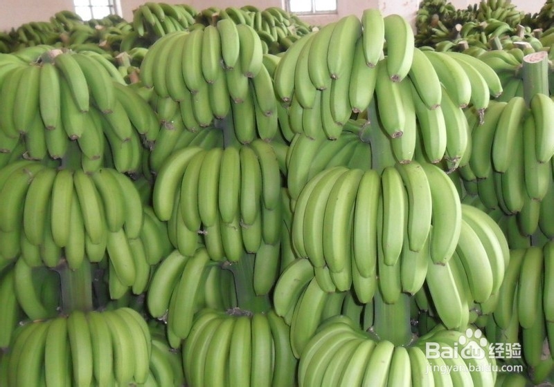 二十条水果禁令