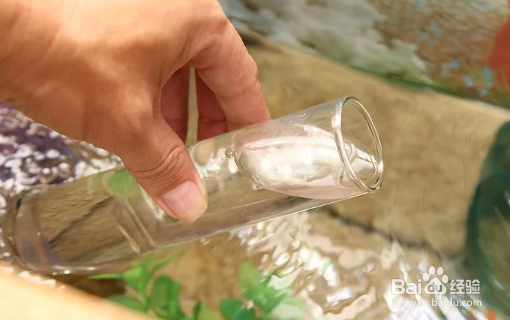 如何对你的鱼缸进行循环