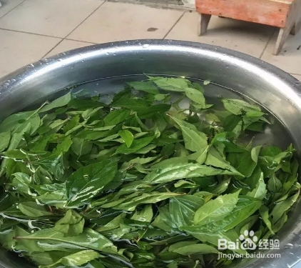 柴叶豆腐怎么样做的