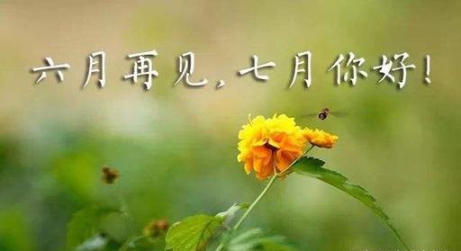 再见6月你好七月微信句子说说心情短语
