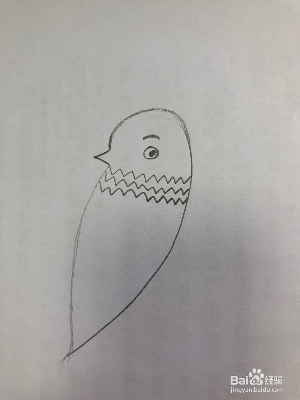 怎样画简易版的麻雀？