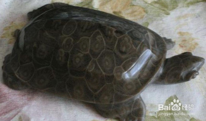 天津到张家界自驾游