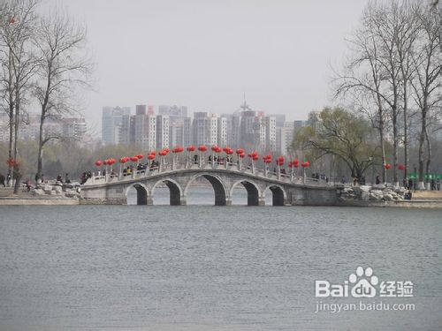 北京玉渊潭公园樱花节游记