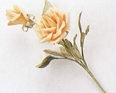 教你手工制作纸制玫瑰花的过程