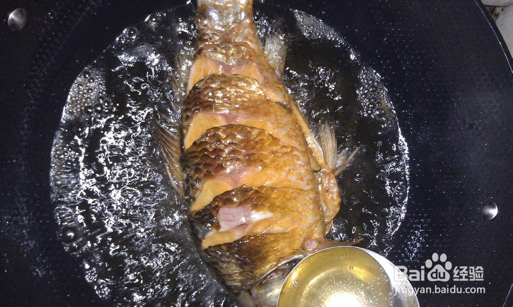 过年美食系列：年年有余---营养好滋味的红烧鱼