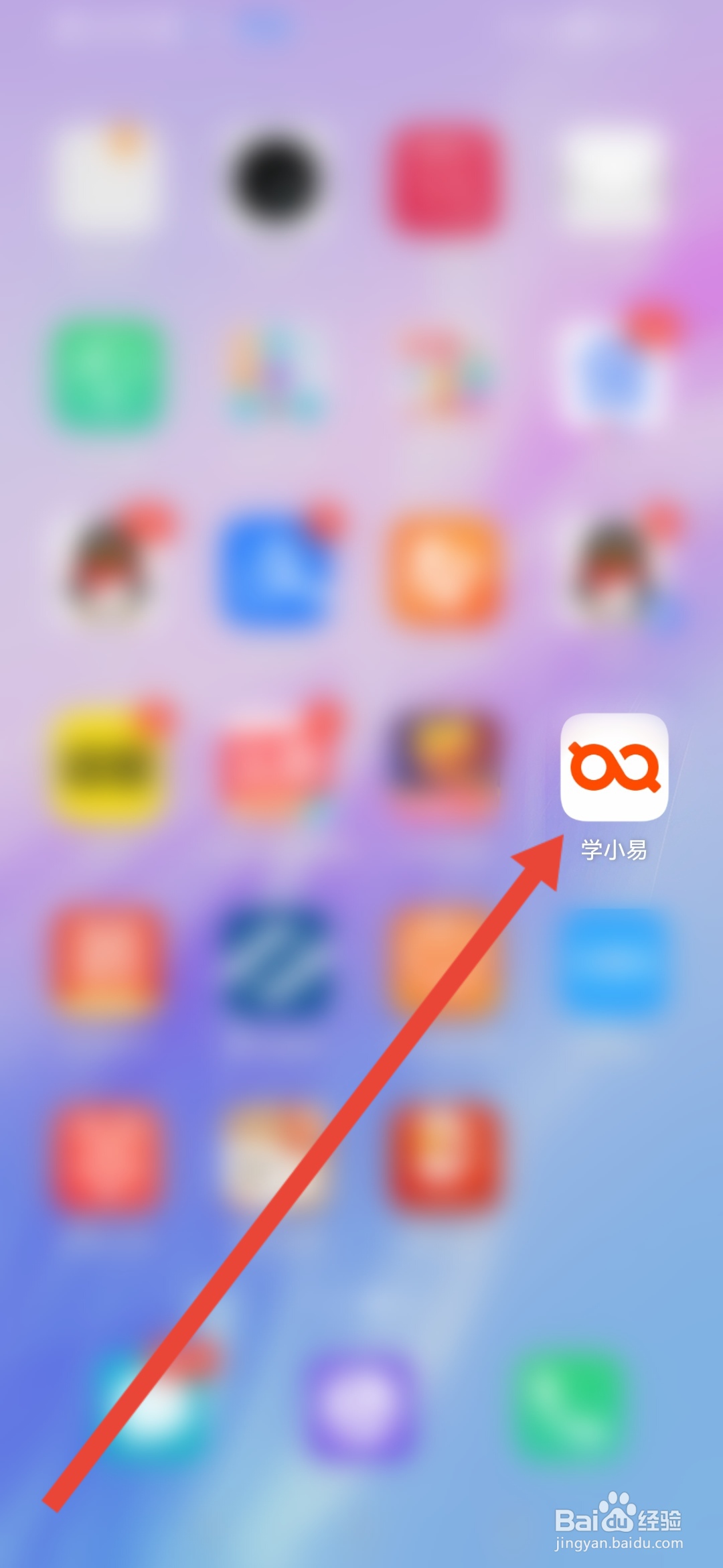 怎么查看学小易APP的营业执照