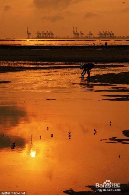 如何使用PS拉曲线,调整对比度、亮度及色调