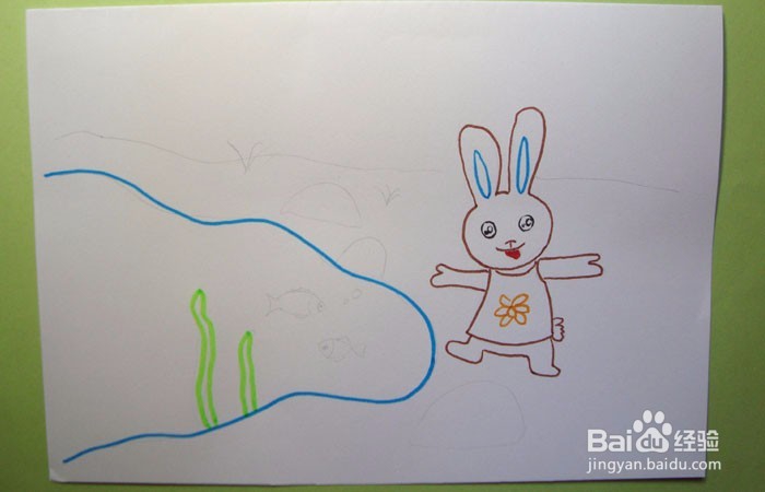 彩色简笔画小兔子看鱼儿游