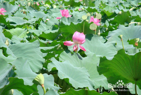 饭后需要注意哪些事情才对身体有益处