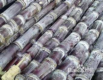 感冒了怎么办，我的小秘诀是分季节来使用！