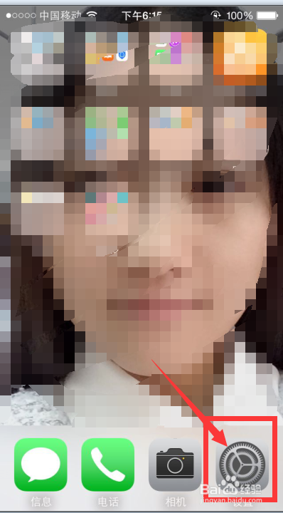 苹果手机怎么打开数据流量