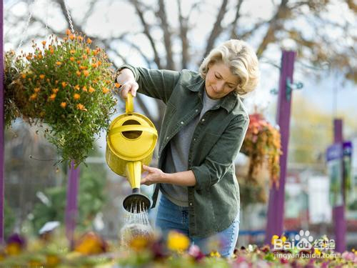 冬季浇花的“三忌五宜