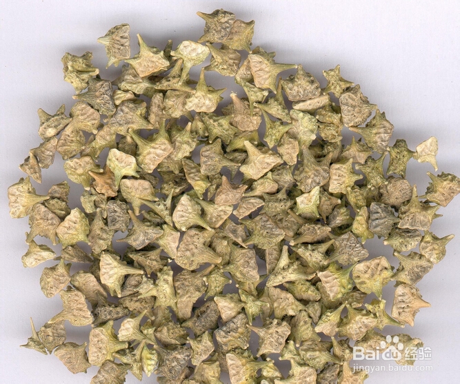 如何美白皮肤小窍门五个中草药让肌肤润泽光滑