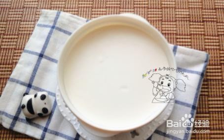 自制无糖酸奶