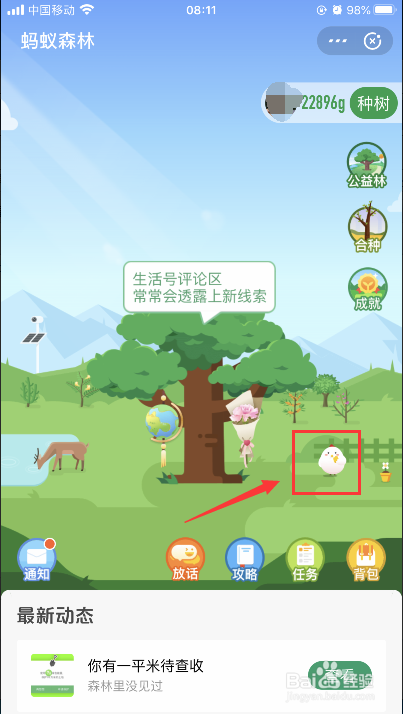 支付宝蚂蚁庄园怎么查看我捐过的爱心项目