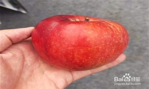 怎样挑选到好吃的苹果？