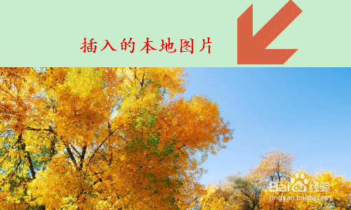 WPS文字 2019如何给图片添加边框?