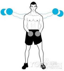 徒手健身之肱二头肌、肱三头肌速成