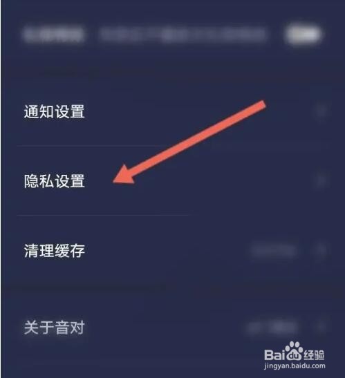 音对语APP如何开启隐身上线