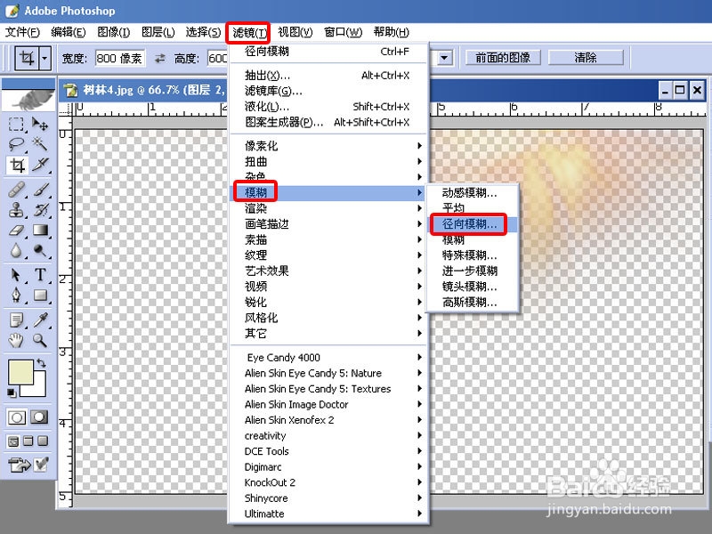 用PHOTOSHOP为树林添加散射光线的效果