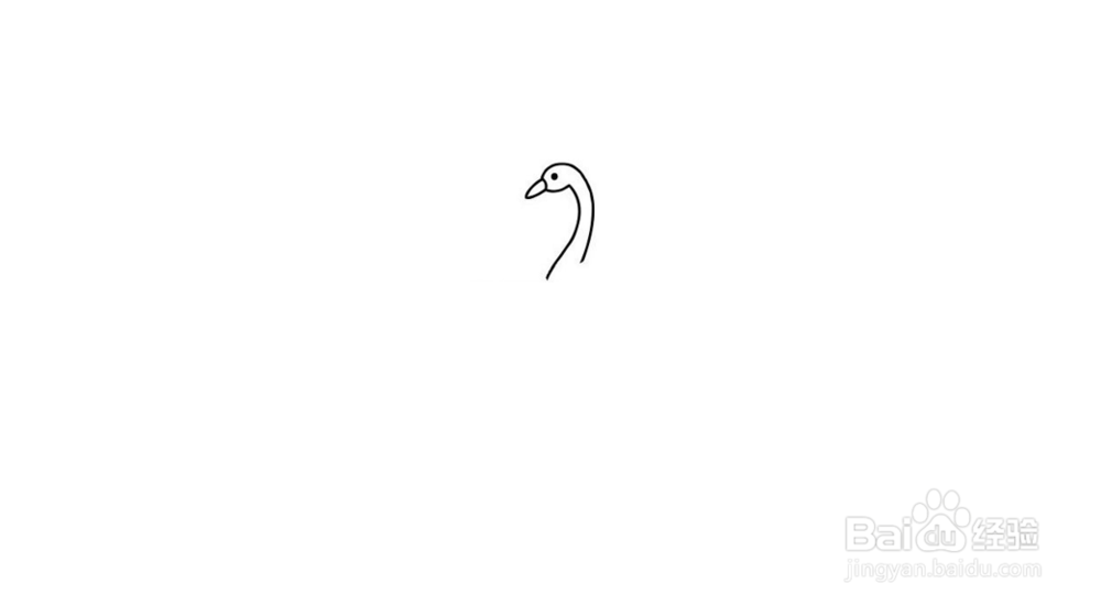 天鹅简笔画教程