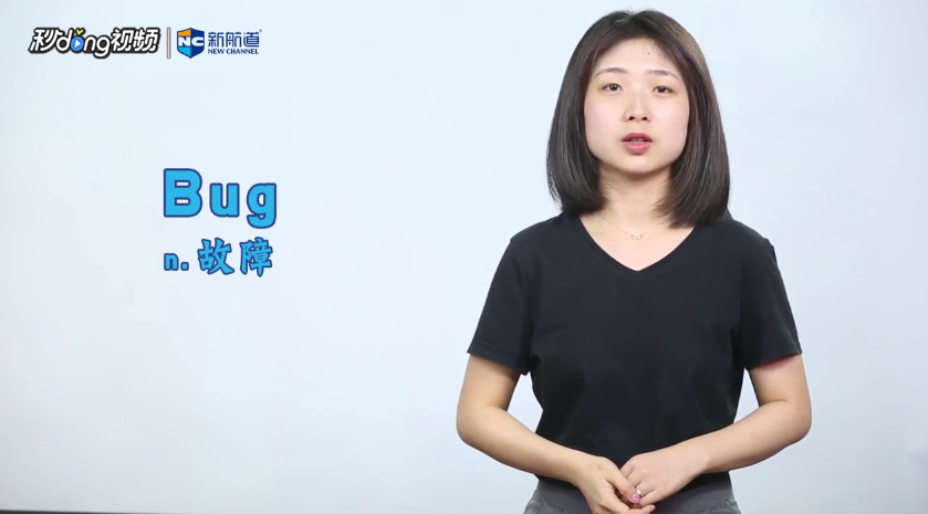 bug是什么意思