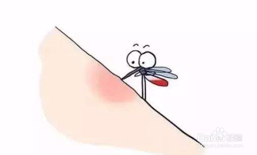 皮肤瘙痒起红疙瘩,怎么办?