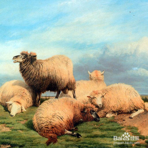 羊吃了塑料袋怎么排出体外