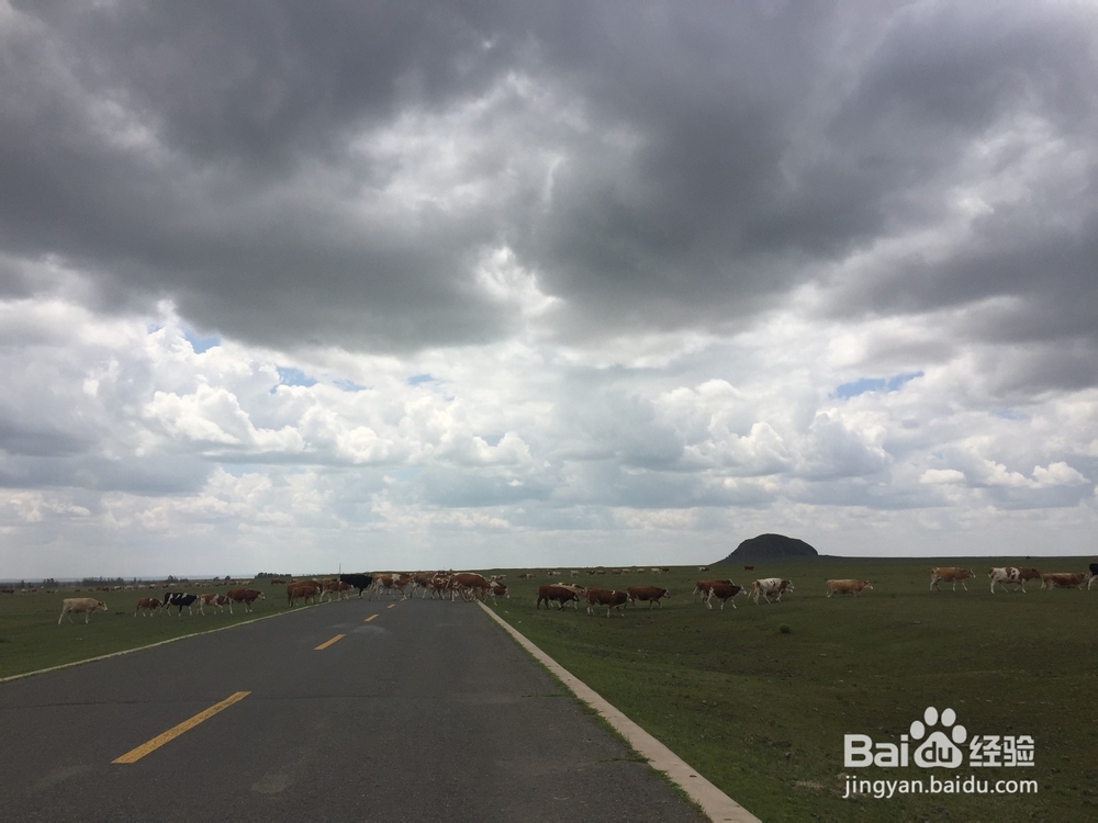 暑假内蒙七日游