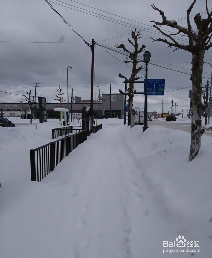 一条性价比爆棚的万元以下日本北海道观雪路线