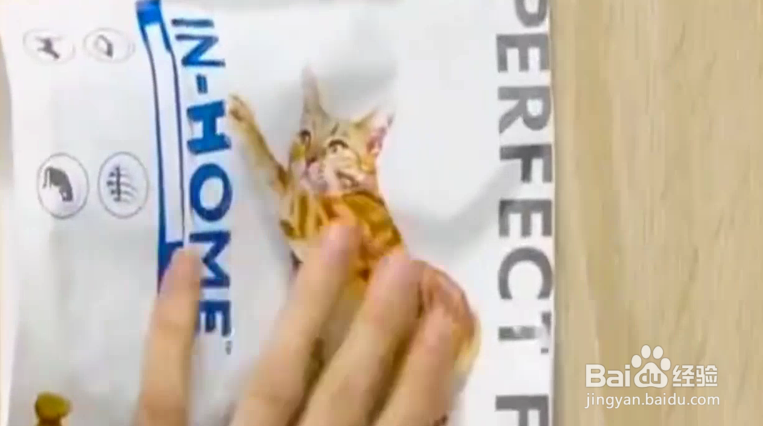 几个神奇小技巧