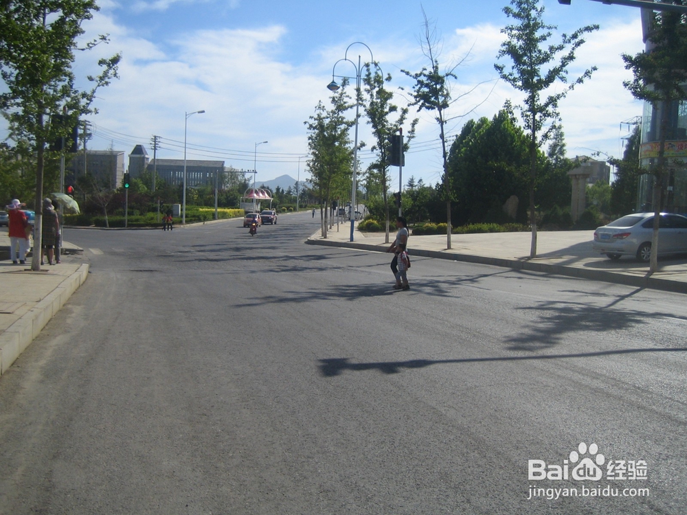 怎样告诉孩子安全过马路--10