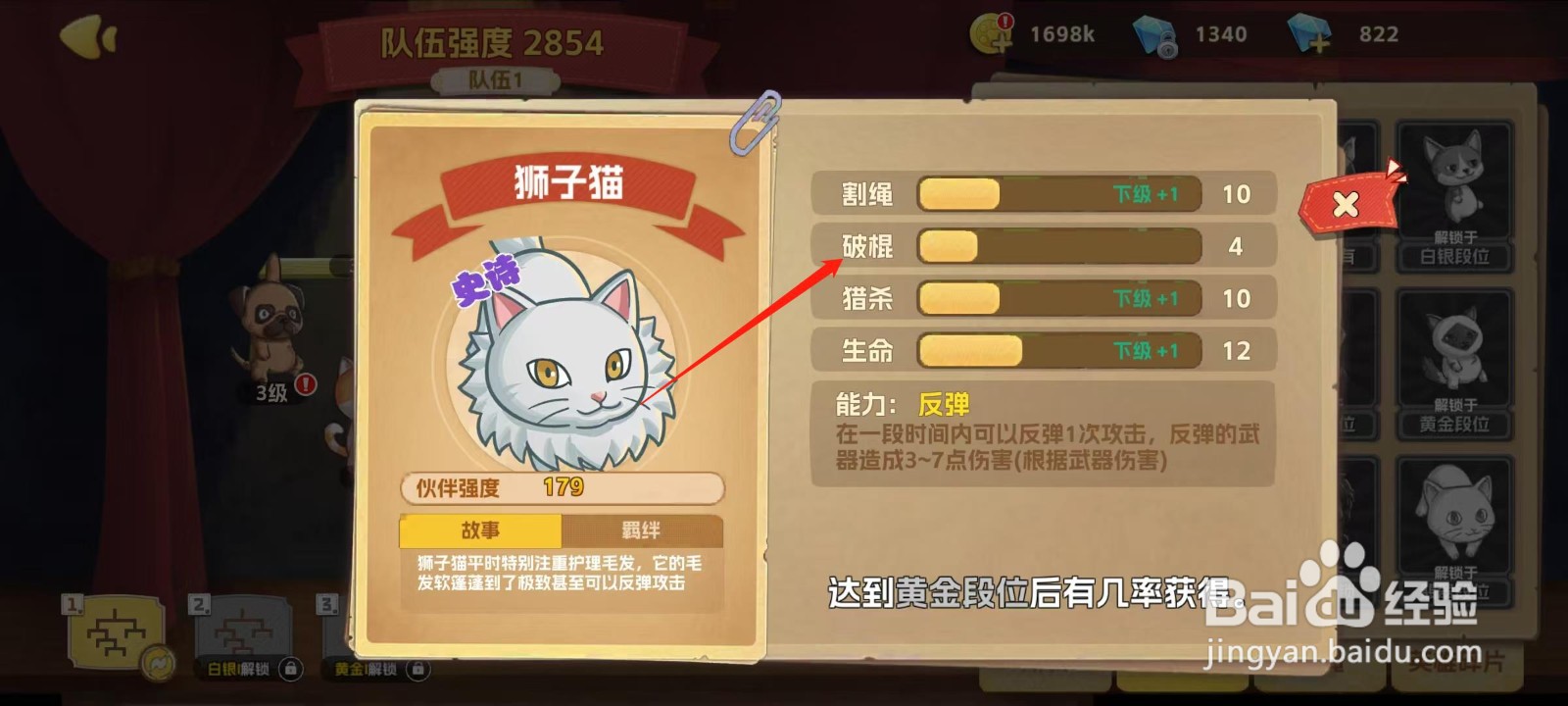 狗狗呼叫喵星怎样查看狮子猫的破棍