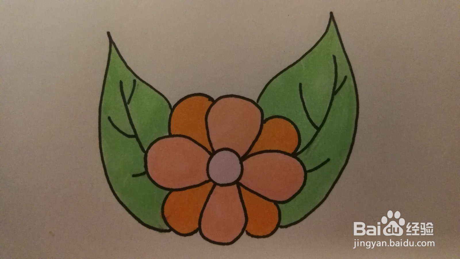 #经验分享官#花朵和叶子简笔画