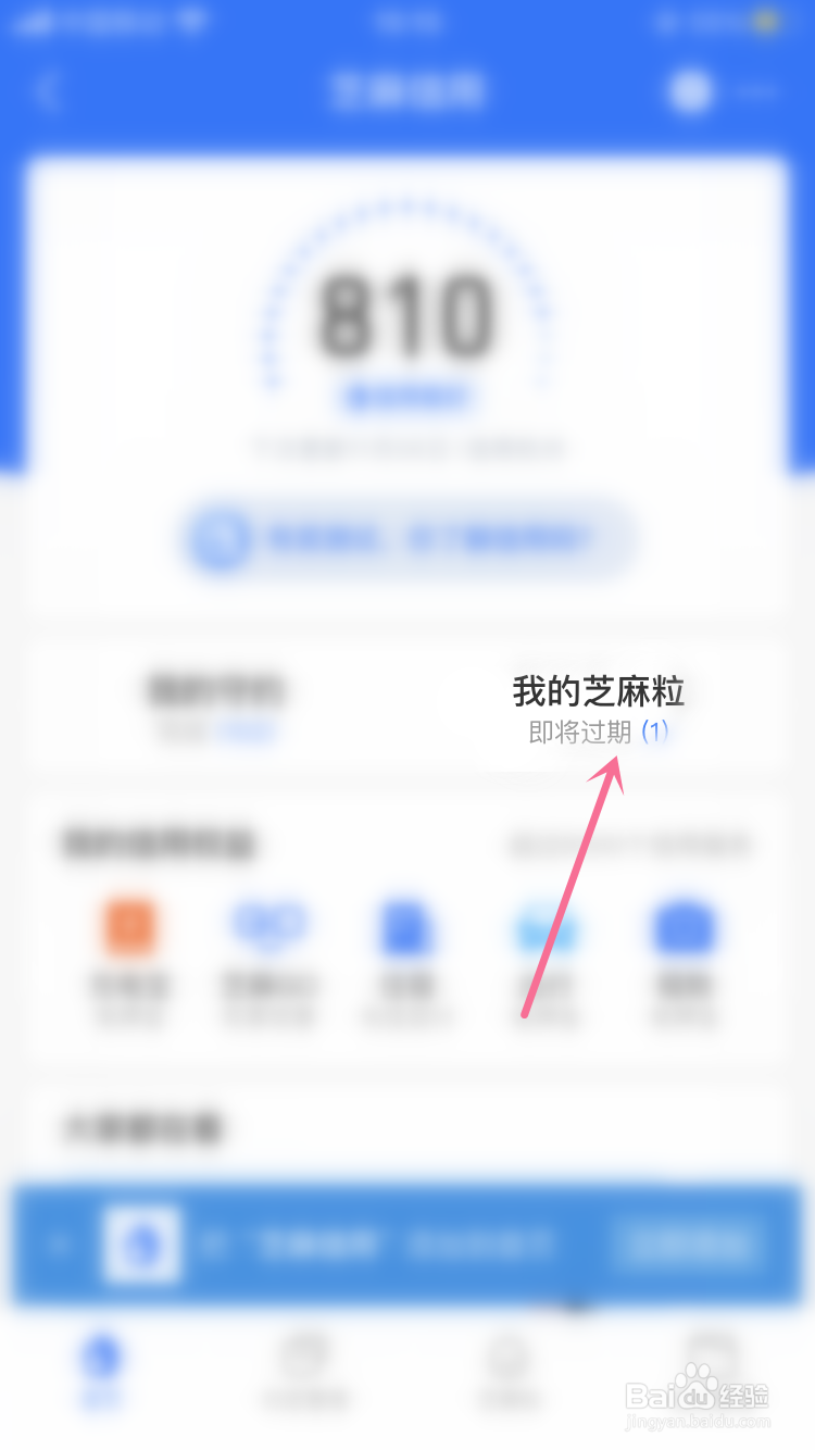 支付宝如何领取信用芝麻粒