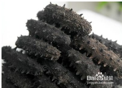 如何分辨假海参