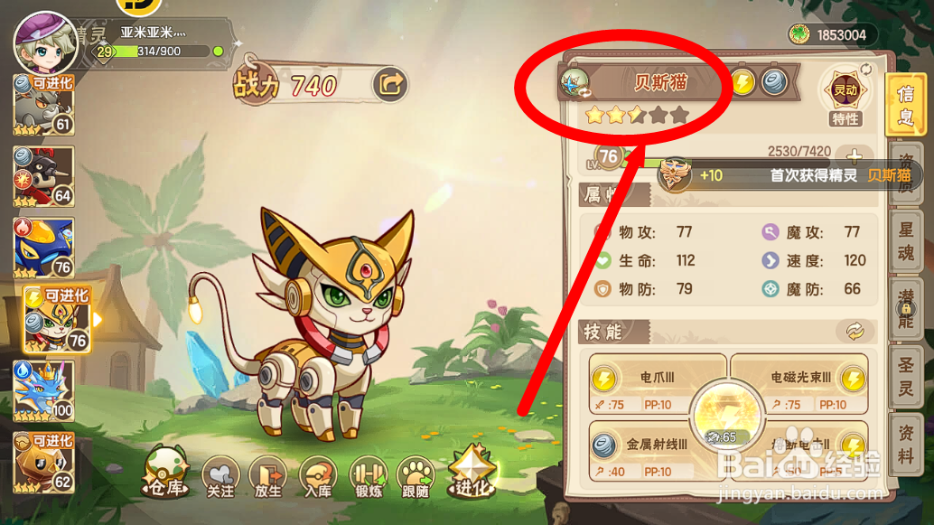 西普大陆怎么进化获得精灵【贝斯猫】？