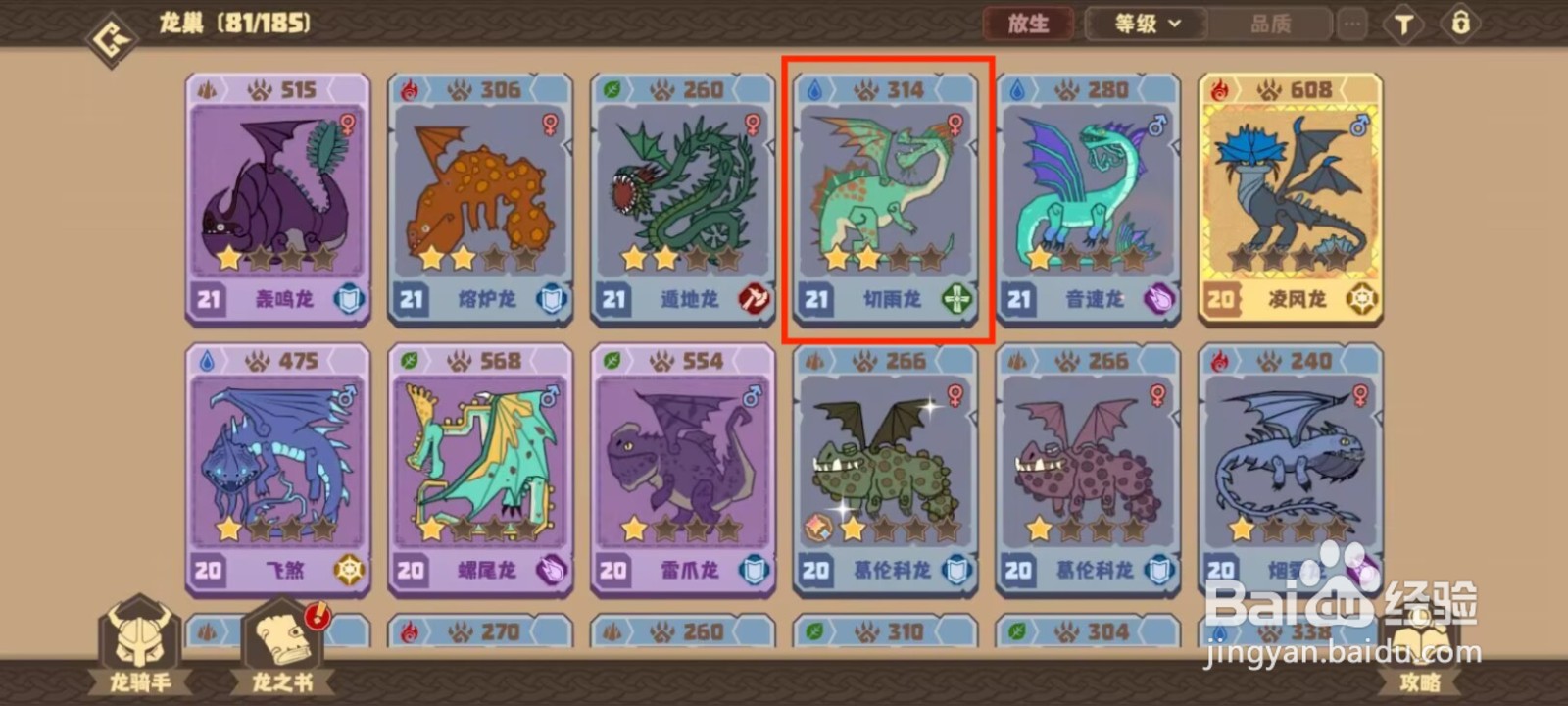 驯龙高手旅程切雨龙怎么升到40级？