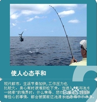 如何用便宜的鱼竿钓大鱼