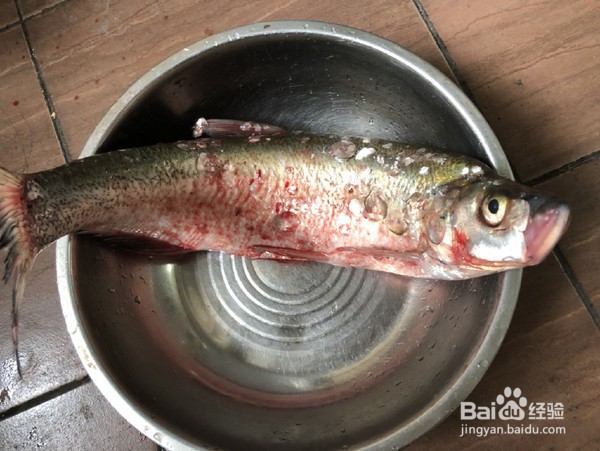 教你做红烧白鱼段