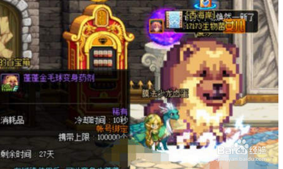 dnf金毛球怎么变大