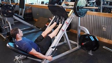 身体各部位肌肉训练的方法有哪些