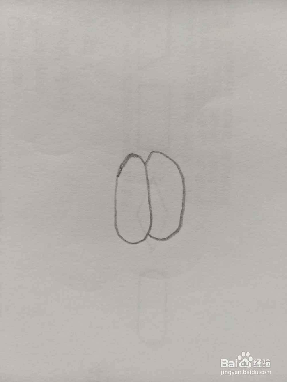 简笔画山竹画法4